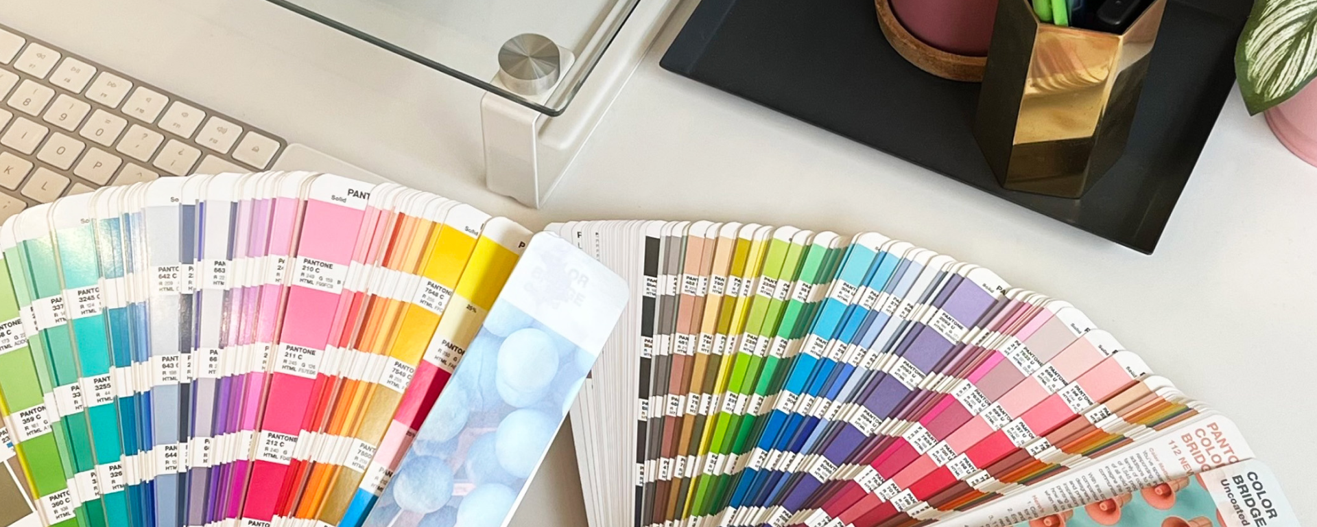 Calmo-Blog-Color-Paletas-Portada